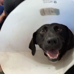 Meet your Posher, Gabe